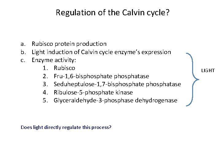 Regulation of the Calvin cycle? a. Rubisco protein production b. Light induction of Calvin