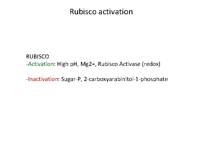 Rubisco activation RUBISCO -Activation: High p. H, Mg 2+, Rubisco Activase (redox) -Inactivation: Sugar-P,