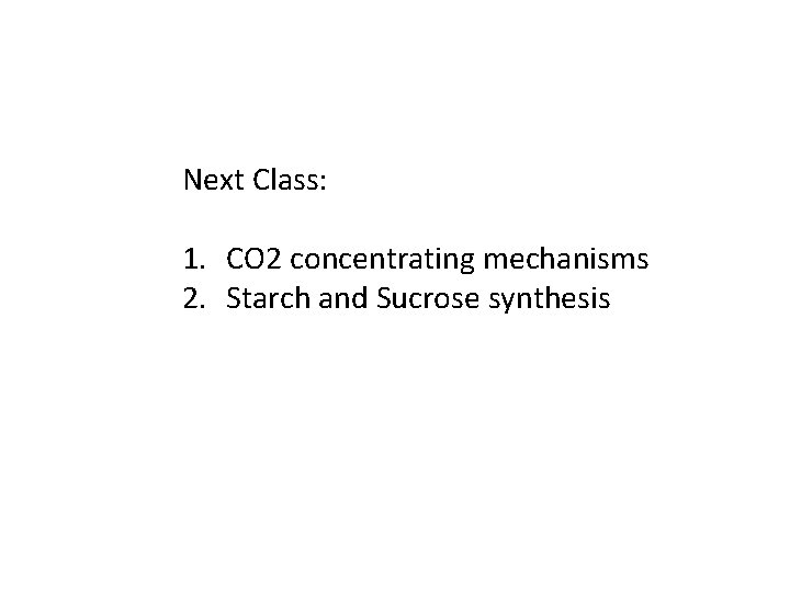 Next Class: 1. CO 2 concentrating mechanisms 2. Starch and Sucrose synthesis 