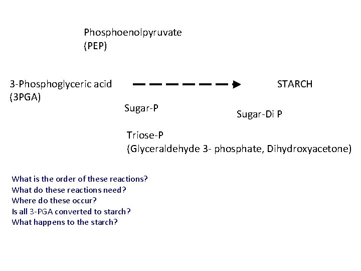 Phosphoenolpyruvate (PEP) 3 -Phosphoglyceric acid (3 PGA) STARCH Sugar-P Sugar-Di P Triose-P (Glyceraldehyde 3