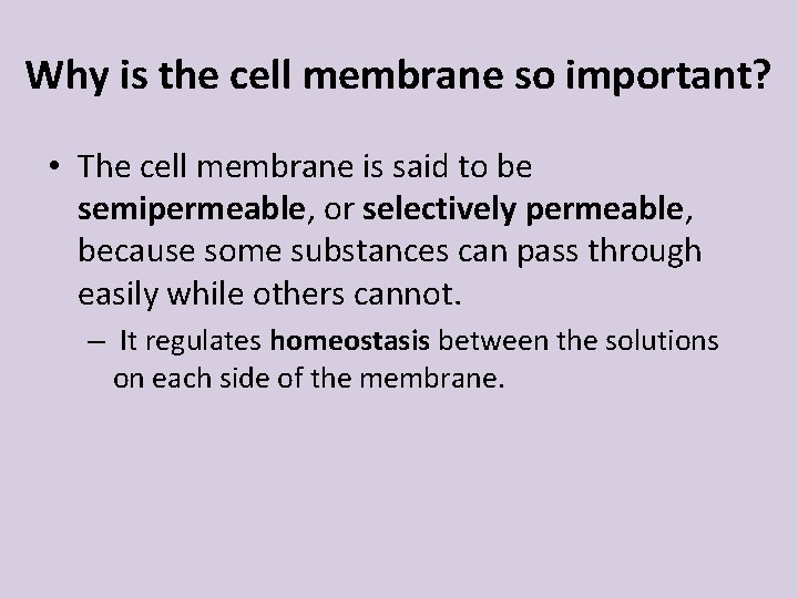 Why is the cell membrane so important? • The cell membrane is said to