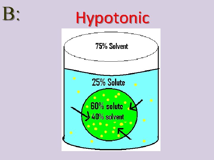 B: Hypotonic 