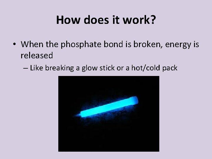 How does it work? • When the phosphate bond is broken, energy is released