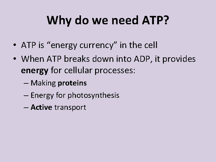 Why do we need ATP? • ATP is “energy currency” in the cell •