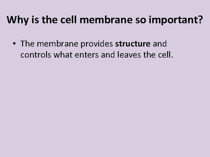 Why is the cell membrane so important? • The membrane provides structure and controls