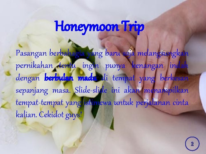 Honeymoon Trip Pasangan berbahagia yang baru saja melangsungkan pernikahan tentu ingin punya kenangan indah