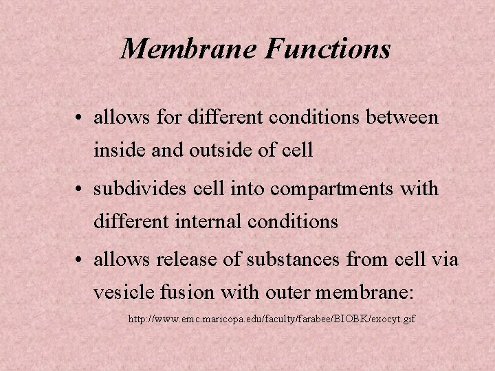 Membrane Functions • allows for different conditions between inside and outside of cell •