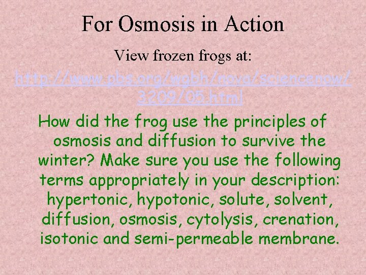 For Osmosis in Action View frozen frogs at: http: //www. pbs. org/wgbh/nova/sciencenow/ 3209/05. html