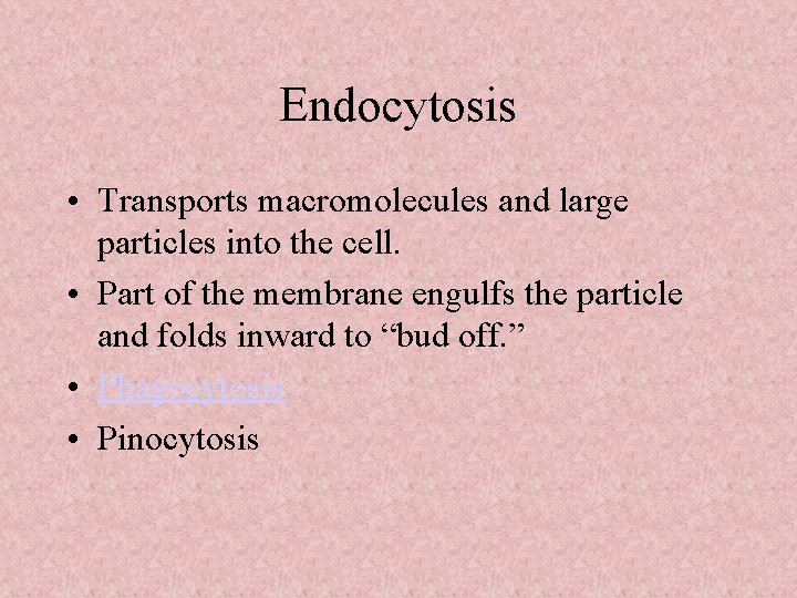 Endocytosis • Transports macromolecules and large particles into the cell. • Part of the