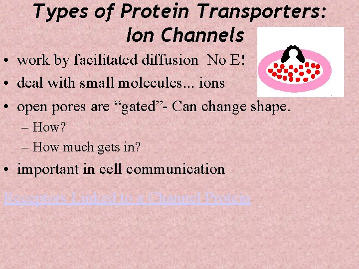 Types of Protein Transporters: Ion Channels • work by facilitated diffusion No E! •