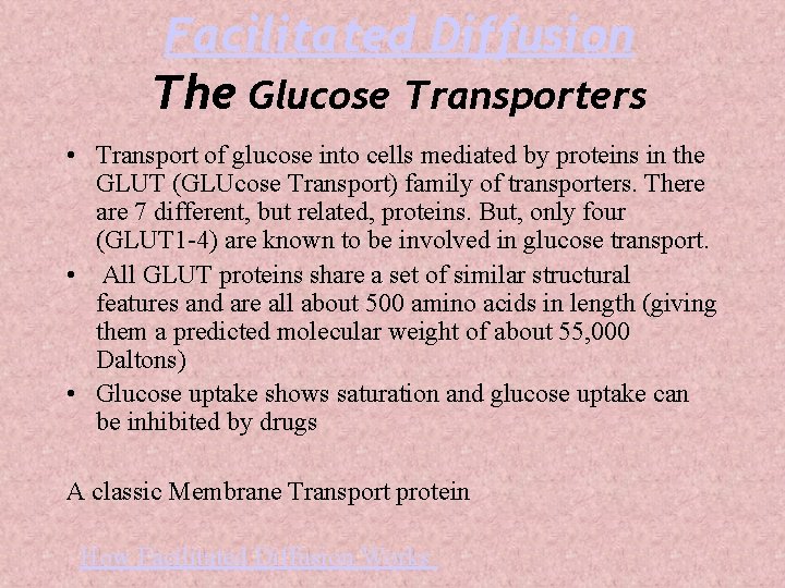 Facilitated Diffusion The Glucose Transporters • Transport of glucose into cells mediated by proteins