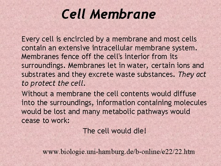 Cell Membrane Every cell is encircled by a membrane and most cells contain an