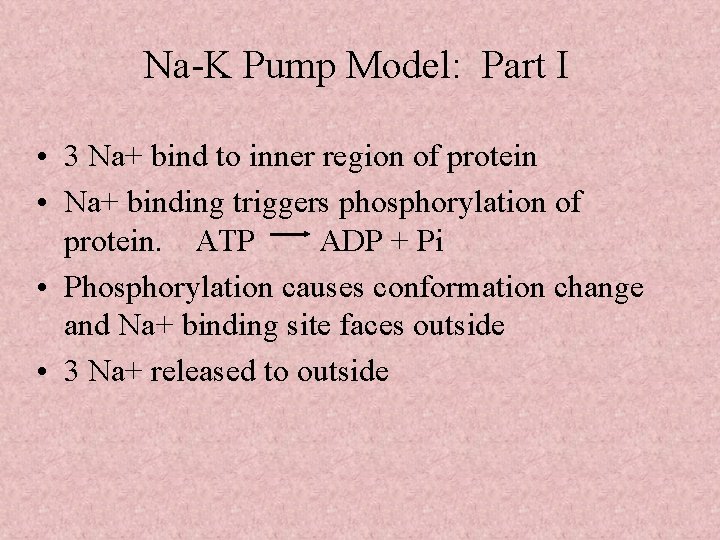 Na-K Pump Model: Part I • 3 Na+ bind to inner region of protein