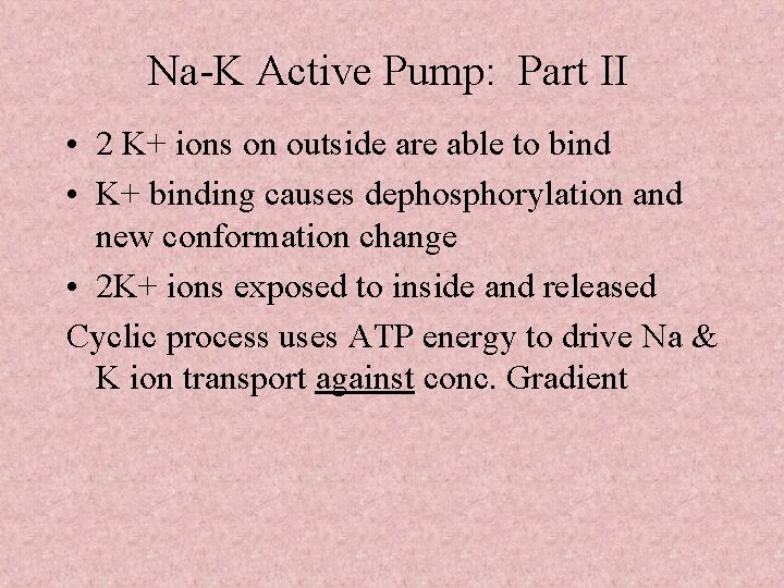 Na-K Active Pump: Part II • 2 K+ ions on outside are able to