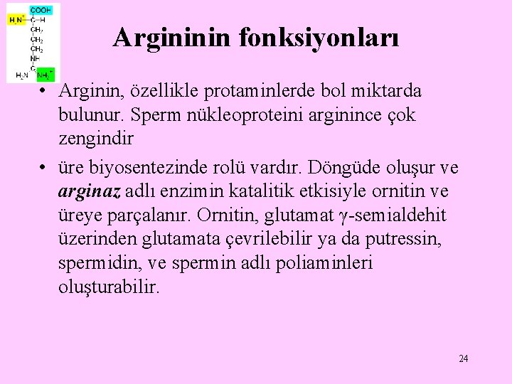 Argininin fonksiyonları • Arginin, özellikle protaminlerde bol miktarda bulunur. Sperm nükleoproteini arginince çok zengindir