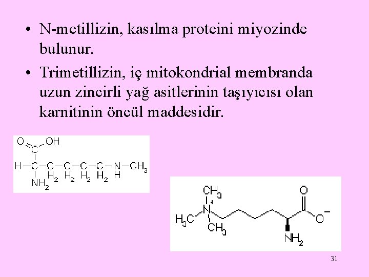  • N-metillizin, kasılma proteini miyozinde bulunur. • Trimetillizin, iç mitokondrial membranda uzun zincirli