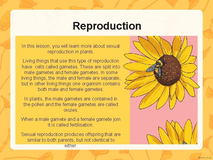 Reproduction In this lesson, you will learn more about sexual reproduction in plants. Living