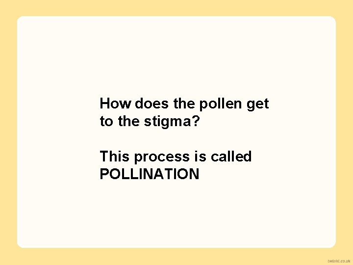 How does the pollen get to the stigma? This process is called POLLINATION 