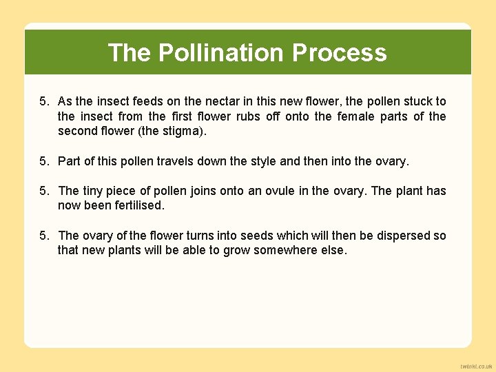 The Pollination Process 5. As the insect feeds on the nectar in this new