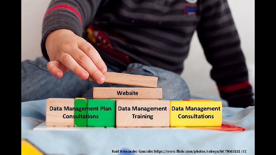 Website Data Management Plan Consultations Data Management Training Consultations Raúl Hernández González https: //www.