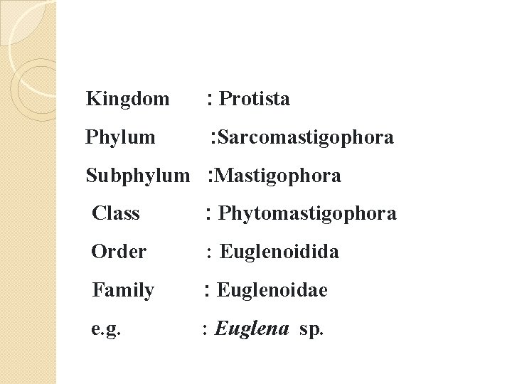 Kingdom : Protista Phylum : Sarcomastigophora Subphylum : Mastigophora Class : Phytomastigophora Order :
