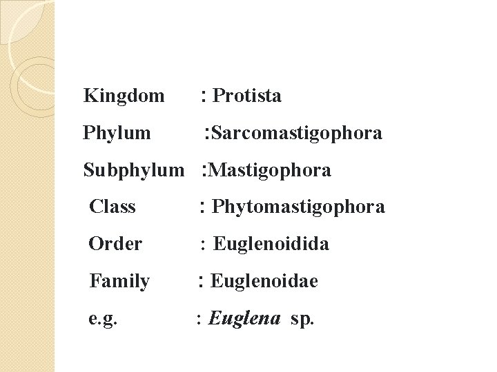 Kingdom : Protista Phylum : Sarcomastigophora Subphylum : Mastigophora Class : Phytomastigophora Order : Kingdom : Protista Phylum : Sarcomastigophora Subphylum : Mastigophora Class : Phytomastigophora Order :