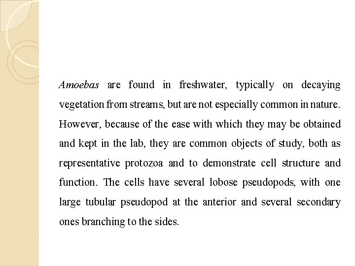 Amoebas are found in freshwater, typically on decaying vegetation from streams, but are not