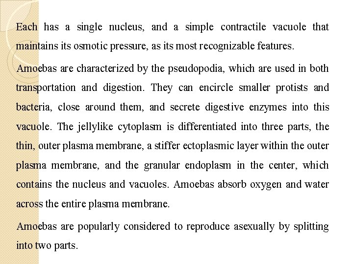 Each has a single nucleus, and a simple contractile vacuole that maintains its osmotic Each has a single nucleus, and a simple contractile vacuole that maintains its osmotic