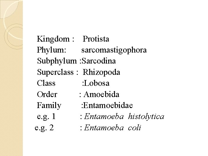 Kingdom : Protista Phylum: sarcomastigophora Subphylum : Sarcodina Superclass : Rhizopoda Class : Lobosa Kingdom : Protista Phylum: sarcomastigophora Subphylum : Sarcodina Superclass : Rhizopoda Class : Lobosa