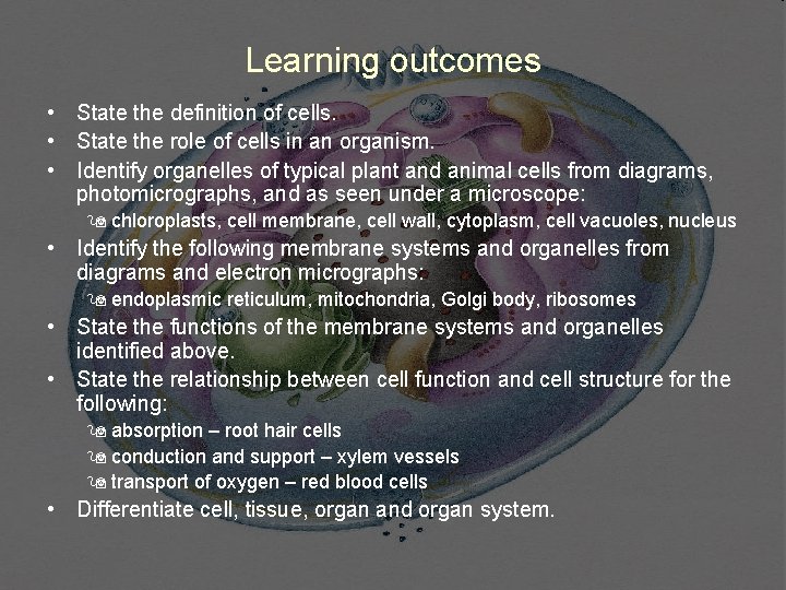 Learning outcomes • State the definition of cells. • State the role of cells