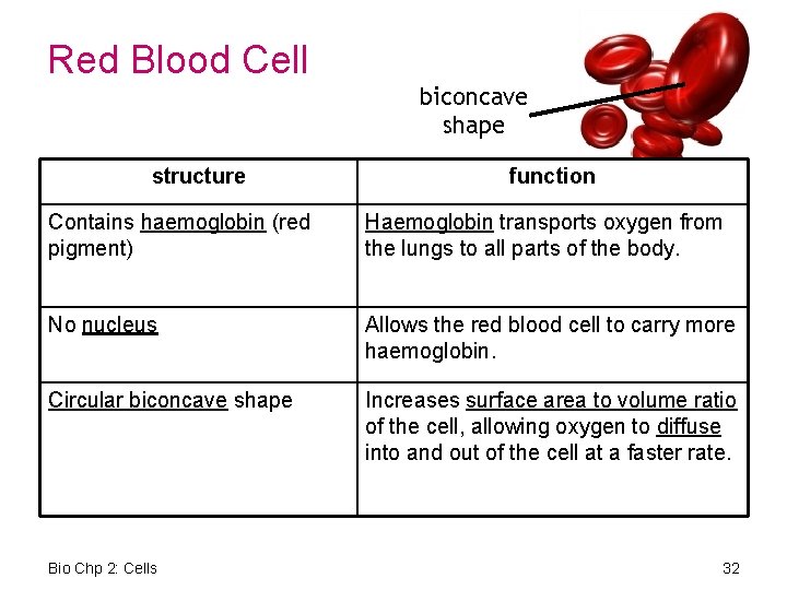 Red Blood Cell biconcave shape structure function Contains haemoglobin (red pigment) Haemoglobin transports oxygen