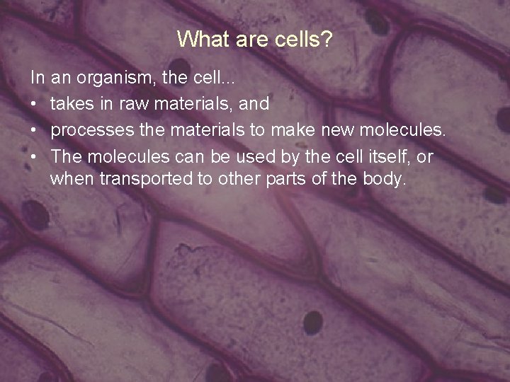What are cells? In an organism, the cell. . . • takes in raw