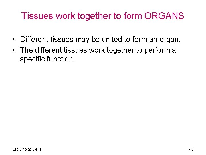 Tissues work together to form ORGANS • Different tissues may be united to form