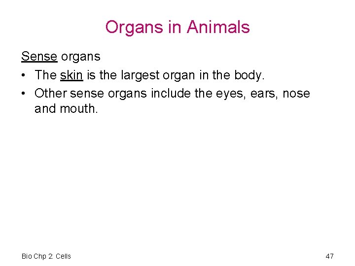Organs in Animals Sense organs • The skin is the largest organ in the