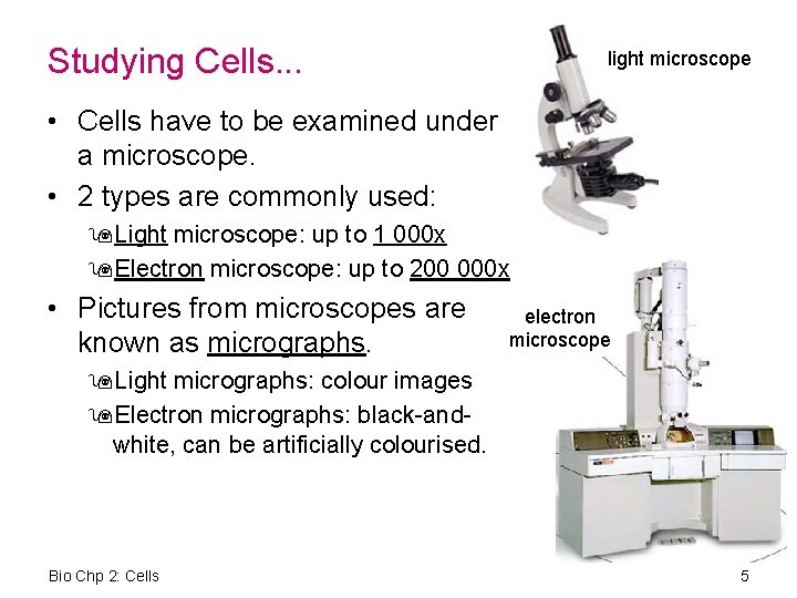 Studying Cells. . . light microscope • Cells have to be examined under a