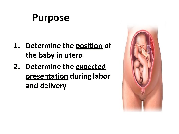 Purpose 1. Determine the position of the baby in utero 2. Determine the expected
