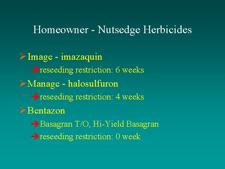 Homeowner - Nutsedge Herbicides Ø Image - imazaquin èreseeding restriction: 6 weeks Ø Manage