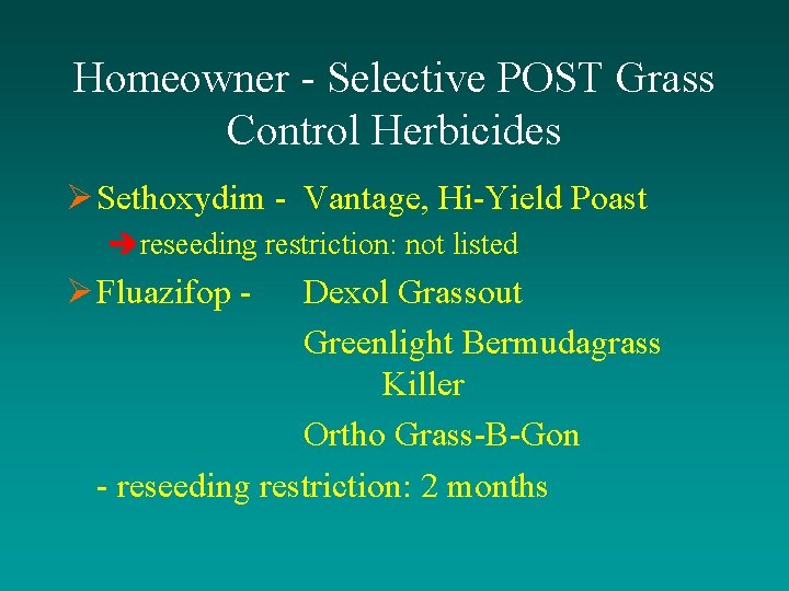 Homeowner - Selective POST Grass Control Herbicides Ø Sethoxydim - Vantage, Hi-Yield Poast èreseeding