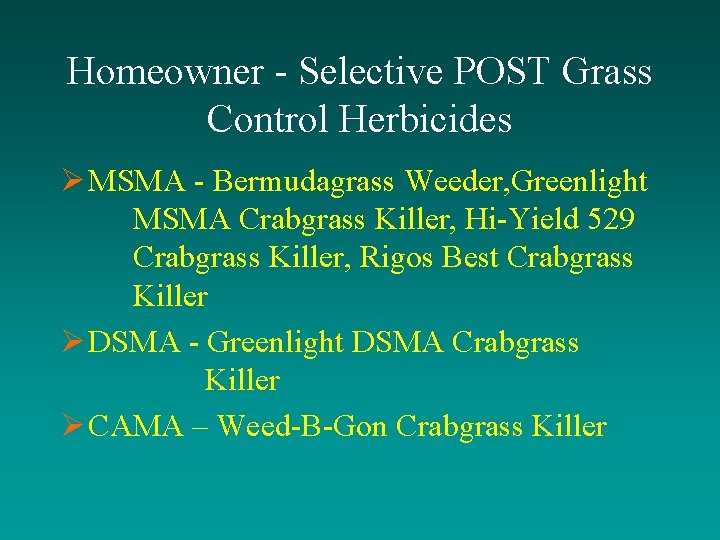 Homeowner - Selective POST Grass Control Herbicides Ø MSMA - Bermudagrass Weeder, Greenlight MSMA