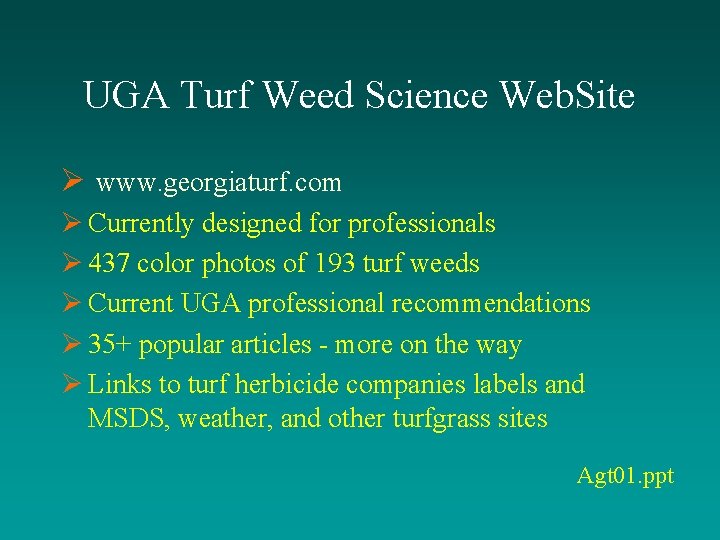 UGA Turf Weed Science Web. Site Ø www. georgiaturf. com Ø Currently designed for