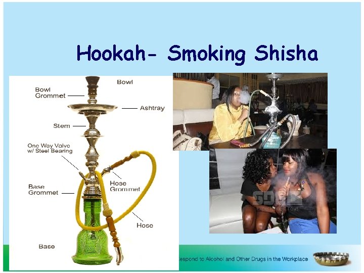 Hookah- Smoking Shisha 