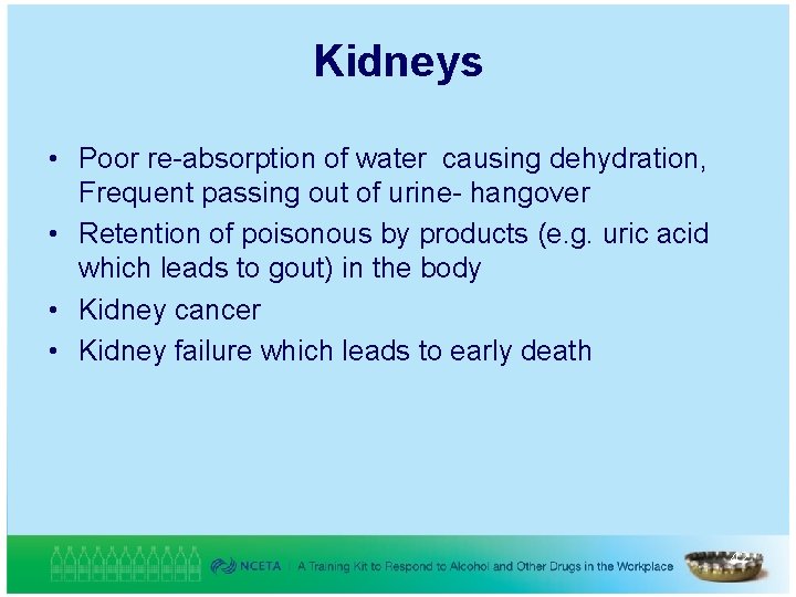 Kidneys • Poor re-absorption of water causing dehydration, Frequent passing out of urine- hangover