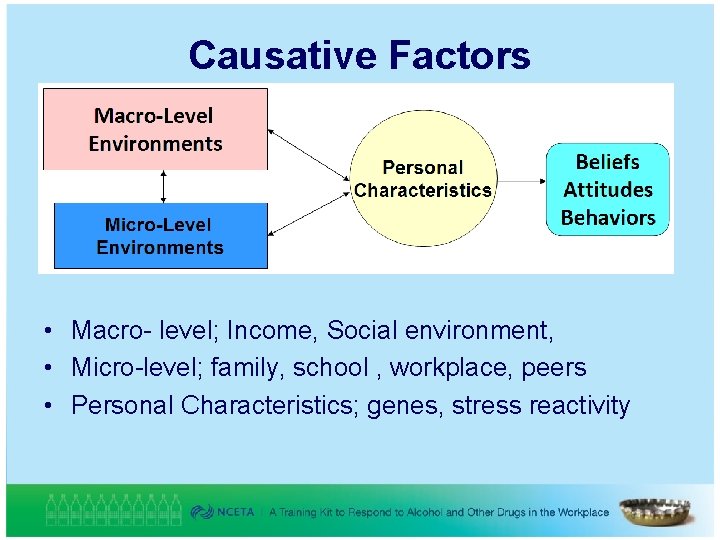 Causative Factors • Macro- level; Income, Social environment, • Micro-level; family, school , workplace,