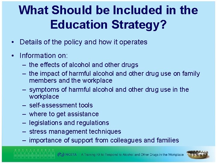 What Should be Included in the Education Strategy? • Details of the policy and