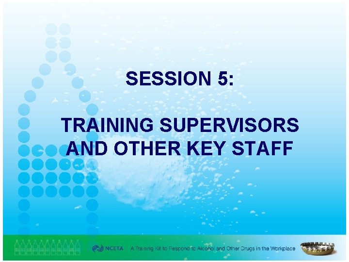 SESSION 5: TRAINING SUPERVISORS AND OTHER KEY STAFF 