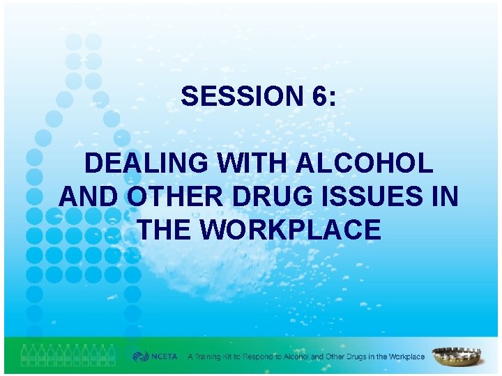 SESSION 6: DEALING WITH ALCOHOL AND OTHER DRUG ISSUES IN THE WORKPLACE 