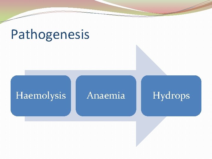 Pathogenesis Haemolysis Anaemia Hydrops 