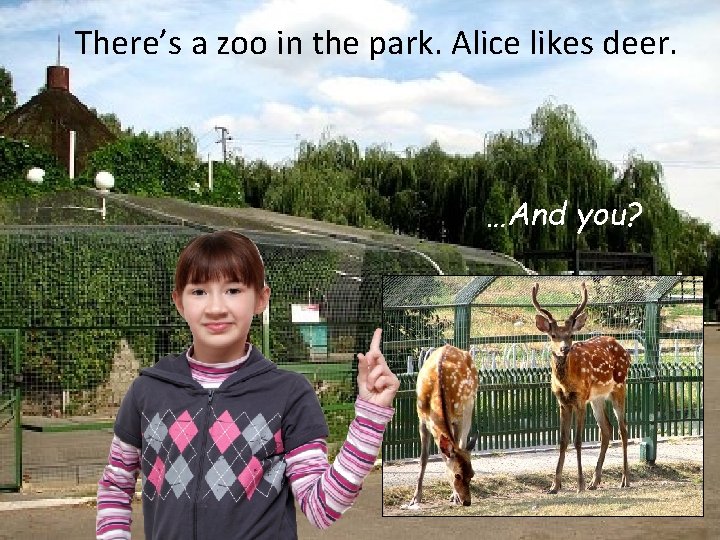 There’s a zoo in the park. Alice likes deer. …And you? 