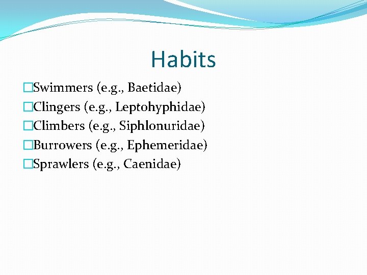 Habits �Swimmers (e. g. , Baetidae) �Clingers (e. g. , Leptohyphidae) �Climbers (e. g.