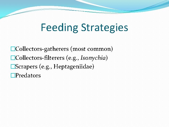 Feeding Strategies �Collectors-gatherers (most common) �Collectors-filterers (e. g. , Isonychia) �Scrapers (e. g. ,